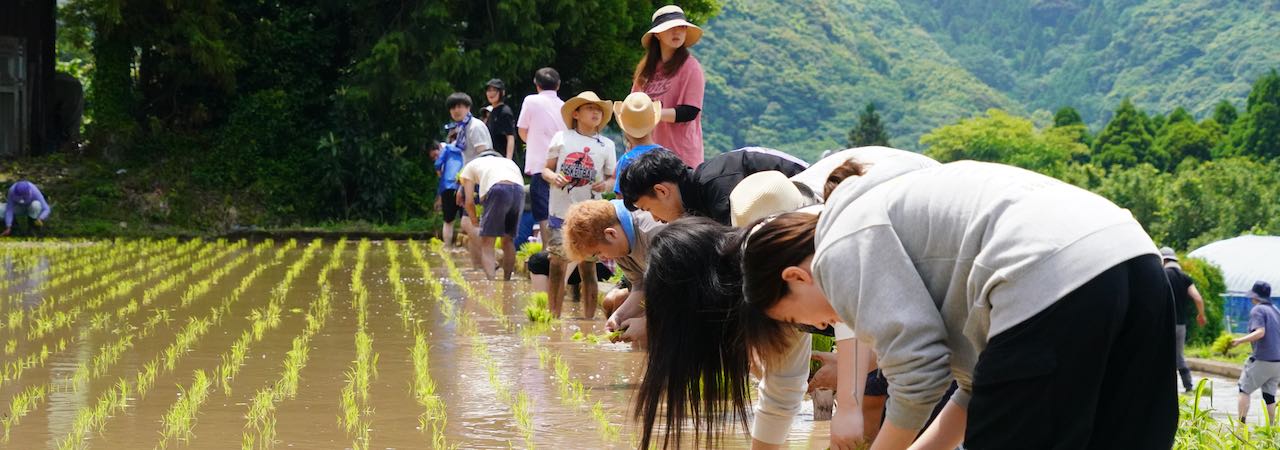 泥だらけの非日常！ペンシル棚田で3度目の田植え