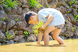 一束ずつ丁寧に真剣な眼差し!
