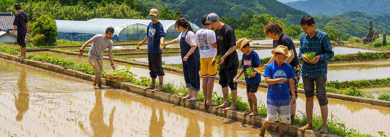 今年もこの季節がやってきた!ペンシル棚田の4度目の田植え