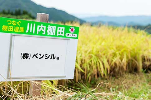 ペンシル棚田