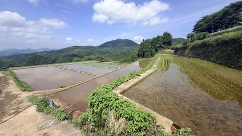 梅雨入りとは思えない!青空の川内棚田へ